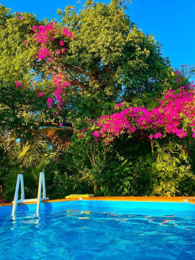 Villa Nature Caraibe Lodge, Vue Mer, Piscine Privee Deshaies Exterior foto